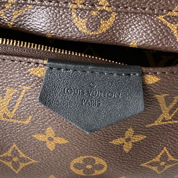 Louis Vuitton Palm Springs MM - Picture 5 of 8